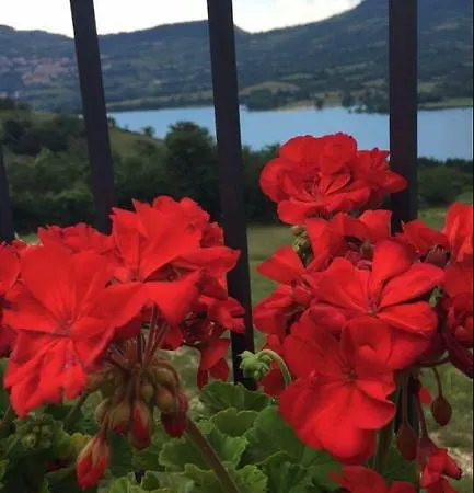 Hotel La Poiana 3*