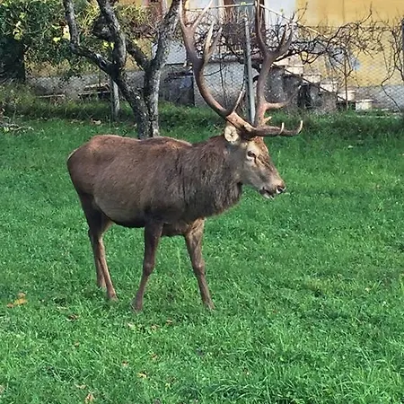 La Poiana